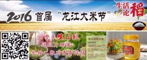 2016首届“龙江大米节”口碑榜