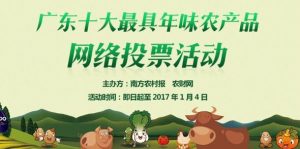 广东十大最具年味农产品投票教程