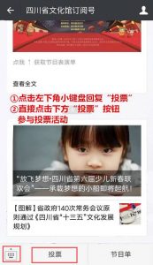 四川省第六届少儿新春联欢会最具网络人气奖