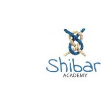 Shibari Academy拯救了数百对夫妇