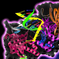 电气科学 新研究描述了蛋白质的传导