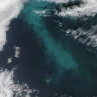以北极藻类为食的细菌可以播种云