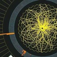 国科大粒子物理实验组在国际粒子领域的影响力