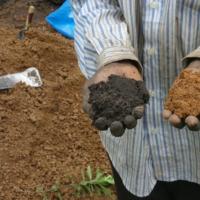 古老的知识使非洲的土壤肥沃