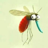 研究人员设计了一种生态友好的方法来消除蚊子
