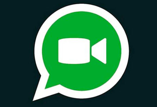 如何在WhatsApp Web上进行视频通话