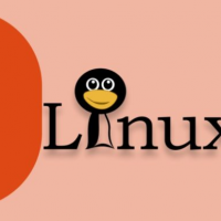 互联网分析：Canonical不会在Ubuntu 20.04 LTS中发布最新内核