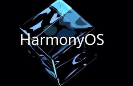 在使用Harmony OS之前，华为是向用户提供HMS服务，而不是GMS。